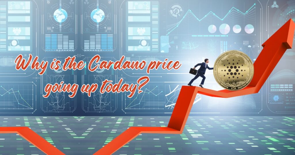 Why is the Cardano price going up today?